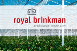 Yeni Royal Brinkman logosunun lansmanı